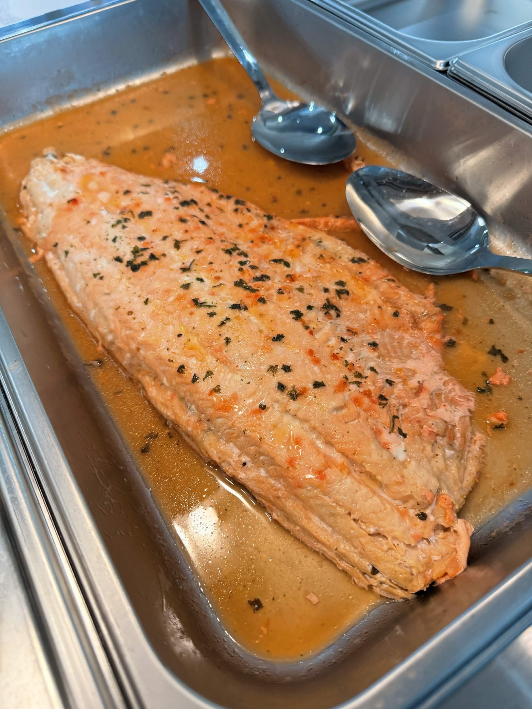 Salmon